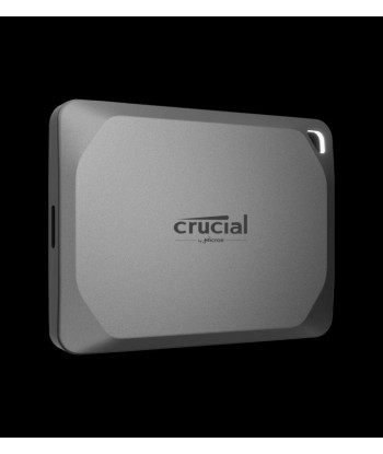 Crucial X9 Pro 2 To USB Type-C USB 3.2 Gen 2x2 Gris Pour