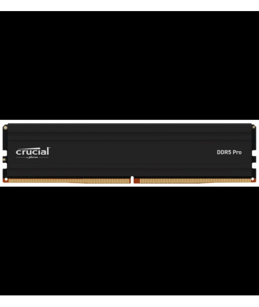 Crucial Pro module de mÃ©moire 32 Go 1 x 32 Go DDR5 5600 MHz une grave pollution 