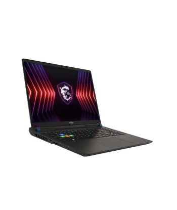 MSI Vector 16 HX A13VHG-290FR IntelÂ® Core? i9 i9-13980HX Ordinateur portable 40,6 cm (16") Full HD+ 16 Go DDR5-SDRAM 1 To SSD NVIDIA GeForce RTX 4080 Wi-Fi 6E (802.11ax) Windows 11 Home Noir du meilleur 