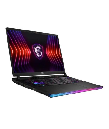 MSI Gaming Raider GE68 HX 14VGG-252FR IntelÂ® Core? i9 i9-14900HX Ordinateur portable 40,6 cm (16") Quad HD+ 32 Go DDR5-SDRAM 2 To SSD NVIDIA GeForce RTX 4070 Wi-Fi 7 (802.11be) Windows 11 Pro Noir outlet