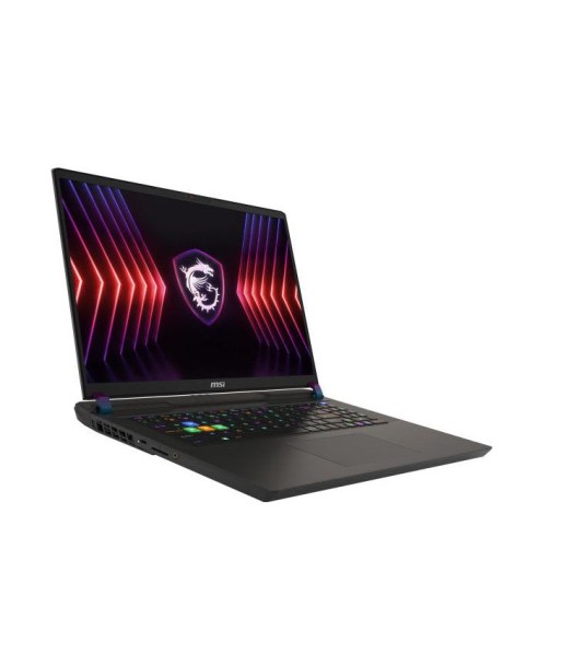 MSI Vector 17 HX A14VIG-616FR IntelÂ® Core? i9 i9-14900HX Ordinateur portable 43,2 cm (17") Quad HD+ 32 Go DDR5-SDRAM 1 To SSD NVIDIA GeForce RTX 4090 Wi-Fi 7 (802.11be) Windows 11 Pro Noir brillant des détails fins