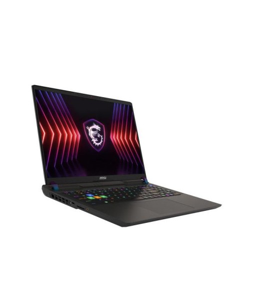 MSI Vector 16 HX A13VIG-404FR IntelÂ® Core? i9 i9-13980HX Ordinateur portable 40,6 cm (16") Full HD+ 32 Go DDR5-SDRAM 1 To SSD NVIDIA GeForce RTX 4090 Wi-Fi 6E (802.11ax) Windows 11 Home Noir Profitez des Offres !