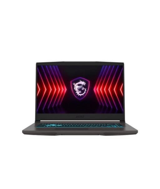 MSI Thin 15 B12UCX-1236XFR IntelÂ® Core? i5 i5-12450H Ordinateur portable 39,6 cm (15.6") Full HD 16 Go DDR4-SDRAM 512 Go SSD NVIDIA GeForce RTX 2050 Wi-Fi 6E (802.11ax) DOS gratuit Gris Amélioration de cerveau avec