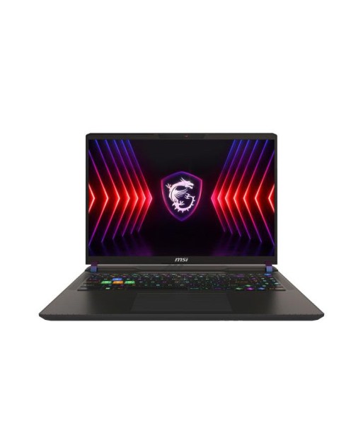 MSI Vector 16 HX A14VGG-253FR IntelÂ® Core? i9 i9-14900HX Ordinateur portable 40,6 cm (16") Quad HD+ 32 Go DDR5-SDRAM 1 To SSD NVIDIA GeForce RTX 4070 Wi-Fi 7 (802.11be) Windows 11 Pro Noir de pas cher