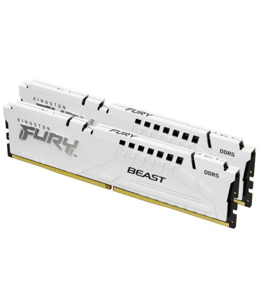 Kingston Technology FURY Beast 32 Go 5200 MT/s DDR5 CL40 DIMM (Kits de 2) White XMP En savoir plus