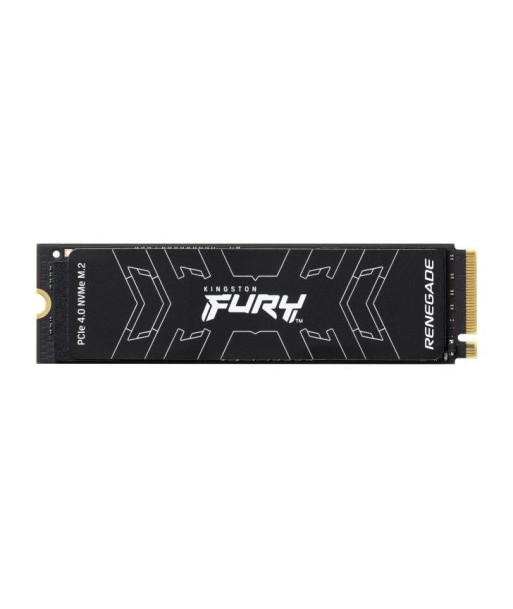 KINGSTON SSD 2T M.2 NVMe Gen4 FURY Renegade store