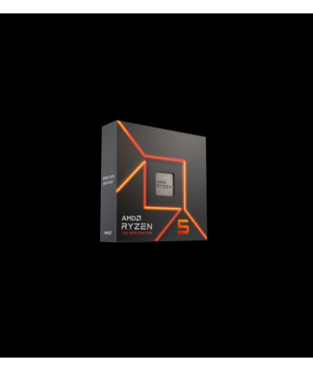 AMD Ryzen 5 7600X processeur 4,7 GHz 32 Mo L3 BoÃ®te en ligne des produits 