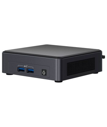 INTEL NUC 11 Pro *BNUC11TNKV50Z00 meilleur choix