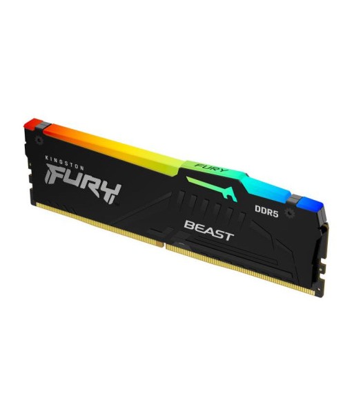 Kingston Technology FURY Beast 16GB 6400MT/s DDR5 CL32 DIMM RGB EXPO des créatures d'habitude