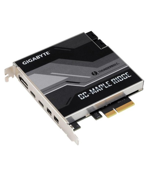 GIGABYTE GC-MAPLE RIDGE Fin de série