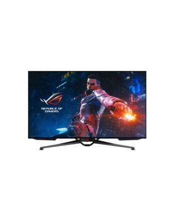 ASUS ROG Swift PG48UQ Ã©cran plat de PC 120,7 cm (47.5") 3840 x 2160 pixels 4K Ultra HD OLED Noir online