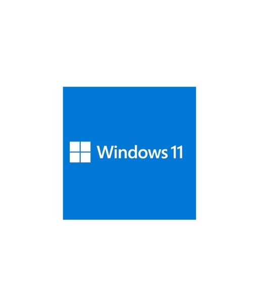 MICROSOFT Windows 11 Professionnel 64bits OEM l'achat 