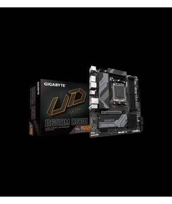 GIGABYTE B650M DS3H Voir les baskets