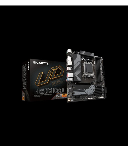 GIGABYTE B650M DS3H Voir les baskets