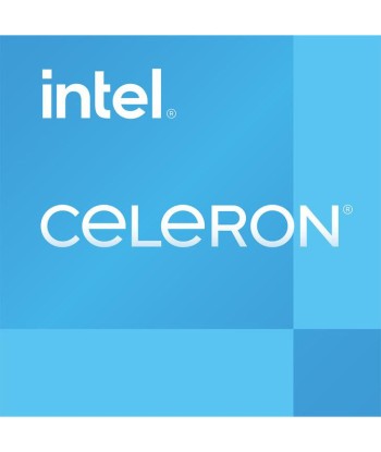 INTEL Celeron G6900 en ligne des produits 