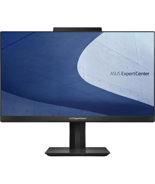 ASUS AiO ExpertCenter E5202WHAK-BA102R français