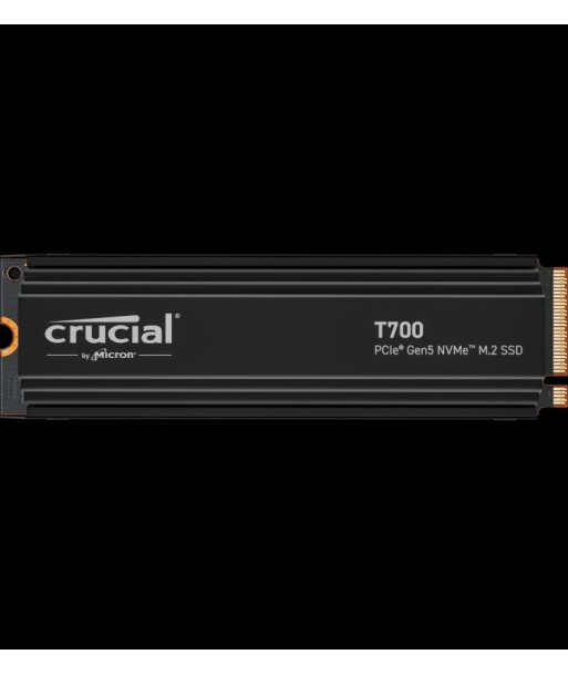 Crucial T700 4 To M.2 PCI Express 5.0 NVMe meilleur choix