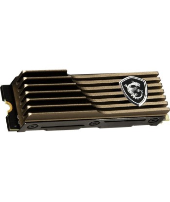 MSI SPATIUM M570 PCIe 5.0 NVMe M.2 2TB HS 2 To PCI Express 4.0 3D NAND plus qu'un jeu 