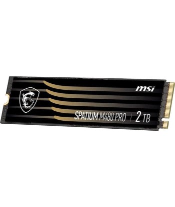 MSI SPATIUM M480 PRO PCIE 4.0 NVME M.2 2TB disque SSD 2 To PCI Express 4.0 3D NAND français