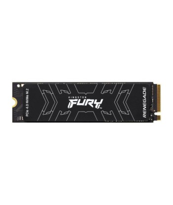 KINGSTON SSD 1T M.2 NVMe Gen4 FURY Renegade d'Europe débarque