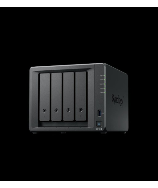 Synology DiskStation DS423 serveur de stockage NAS Realtek RTD1619B 2 Go DDR4 DiskStation Manager Noir plus qu'un jeu 